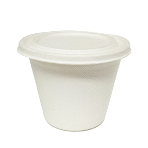 Bicchiere in canna da zucchero biodegradabile Fashion Cup con coperchio per ogni tipo di occasione