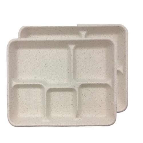 Vassoio per alimenti in carta bagassa usa e getta biodegradabile di alta qualità per il pranzo