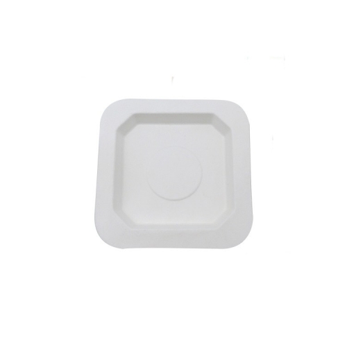 Piatti usa e getta per microonde Composable Sugercane Square Plate