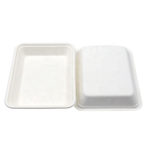 Vassoi biodegradabili per il pranzo della scuola di bagass