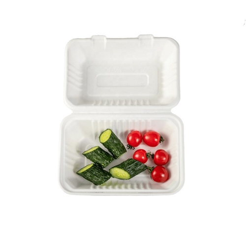 Scatola da pranzo per alimenti in bagassa di canna da zucchero biodegradabile a due scomparti per uso alimentare