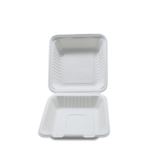Contenitore per alimenti in polpa di bagassa usa e getta ecocompatibile al 100% biodegradabile per il pranzo