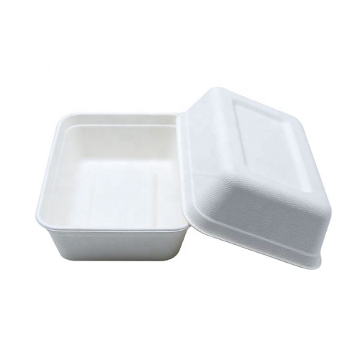 Scatola per contenitori per alimenti compostabili al 100% Scatola per il pranzo usa e getta biodegradabile per contenitori per alimenti
